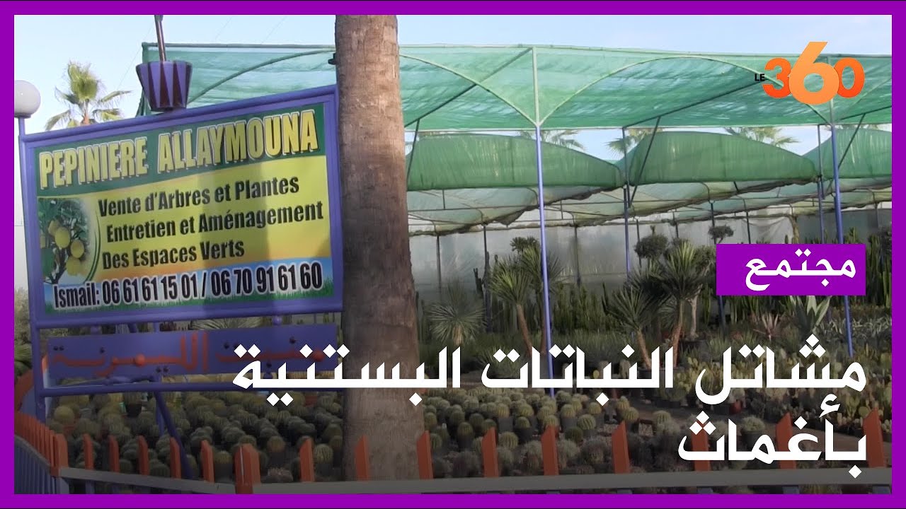 أغماث: مشاتل مختلطة ومصدر روعة الطبيعة بكل أشكالها