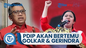 Sekjen PDIP Sebut Dialog Politik Diperlukan, PDIP Agendakan Pertemuan dengan Gerindra dan Golkar