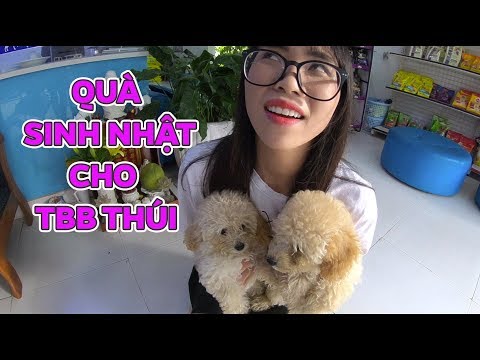 Video: 18 món quà giúp chó cần