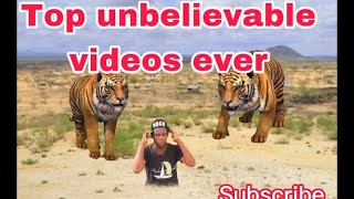 Top unbelievable funny videos ever Best top of the month viral comedy TIKTOK trending #kimjesyjesus