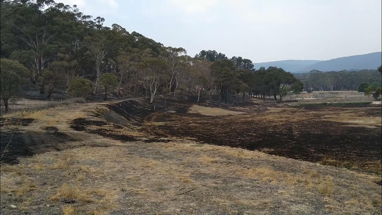 Commonwealth Siding branch line, Marrangaroo NSW. Thu 26th Dec 2019