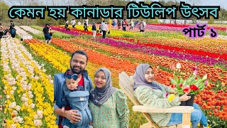 আমাদের প্রথম টিউলিপ উৎসবে যাওয়ার অভিজ্ঞতা হলো। পার্ট ১