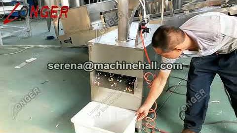 How to slice almonds with food processor? Almond Slicer Machine