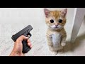 Funniest Animal Moments 2022 😂 Funniest Cats and Dogs 🐶😸 Ep 03 | Cute Buddy