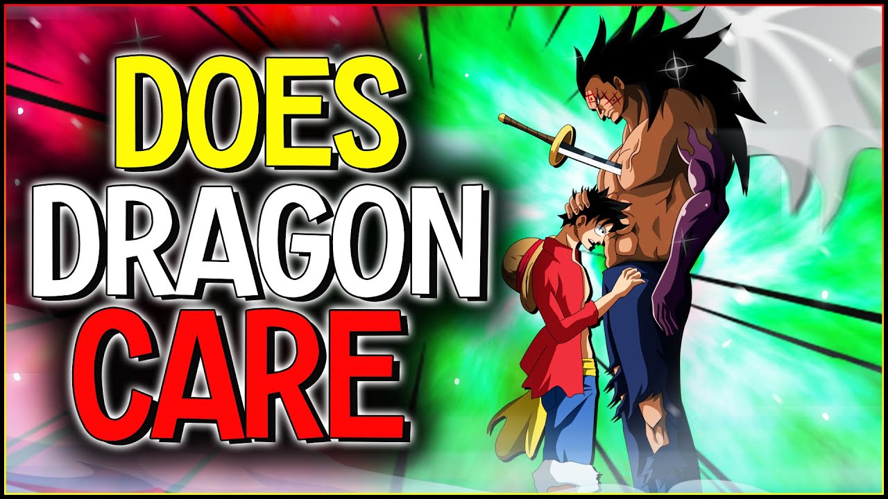 Does Dragon Actually Care About Luffy One Piece B D A Law Youtube