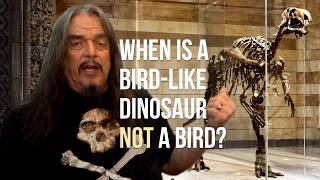 Bird-footed, bird-hipped, duck-billed, & lizard-looking with hooves?