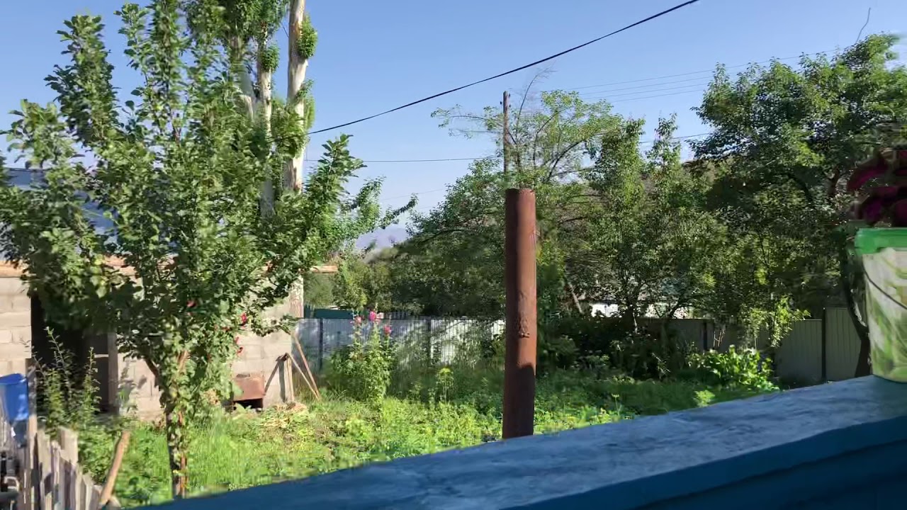 Кольсай на машине