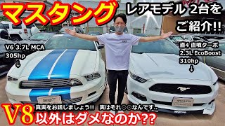 【アメ車 】マスタング 中古車紹介!  V6 & エコブーストもいい理由【ウイングオート】