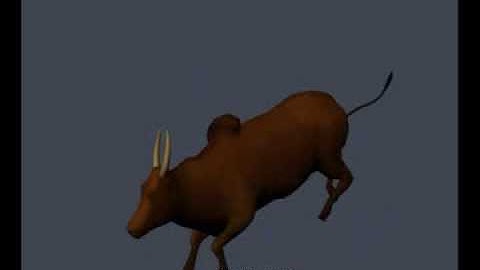 bull run anim for game