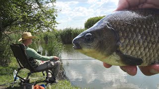 Рыбалка на диком канале, клёв карася на маховую удочку by Юг Fishing 24,780 views 9 days ago 22 minutes