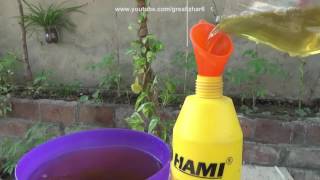 How to Make Pesticide From Neem Leaves | Pesticide for Plants | Start to End (Urdu/hindi)