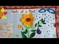 Do you know the Parts of a Plant? 🌱 #PartsofaPlantSong