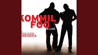 Video thumbnail of "Kommil Foo met Orquestra Tanguedia - Jef"