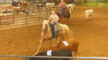 Shining Goldie Rocks - sorting practice #3 - Valley View Ranch
