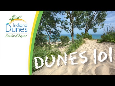 Video: Indiana Dunes Nasionale Park: Die volledige gids