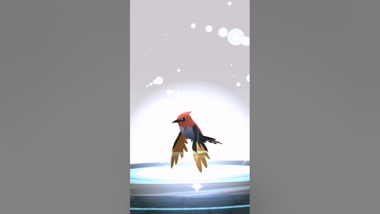 Fletchling evolution pokemongo evolve YouTube