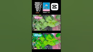 How to Cinematic Colour Grade Tutorial inCapcut #edit #capcut #tutorial