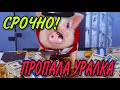 СРОЧНО! ПРОПАЛА УРАЛКА. ОЛЬГА УРАЛОЧКА LIVE.