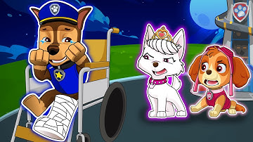 Goodbye SKYE & PAW PATROL! CHASE Please Don