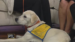 PTL Pupdate Sept. 15, 2023: Roberto