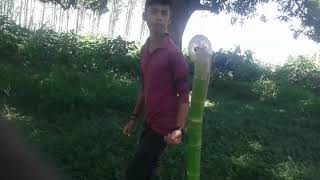 Dharamveer raj video song