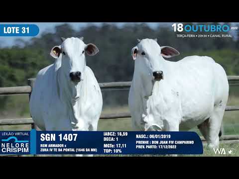 LOTE 31 SGN 1407,1408