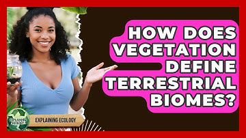 How Does Vegetation Define Terrestrial Biomes? - Explaining Ecology