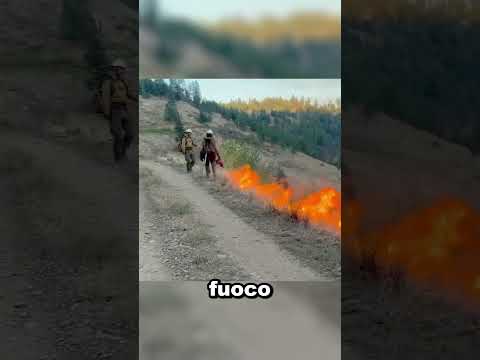 Video Usano il fuoco per fermare un incendio?!Questo sembra impossibile… ma è una vera tecnic
