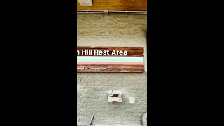 【公式】あなたの街にポケモンがあらわれた？？と思ったら