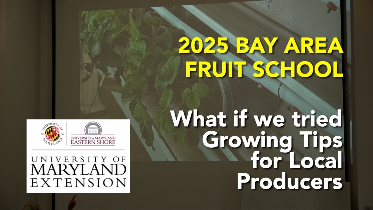 Bay Area Fruit School 2025 - What if we tried Growing Tips Indoors for Local Producers