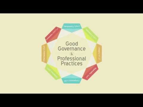 Guideline on good