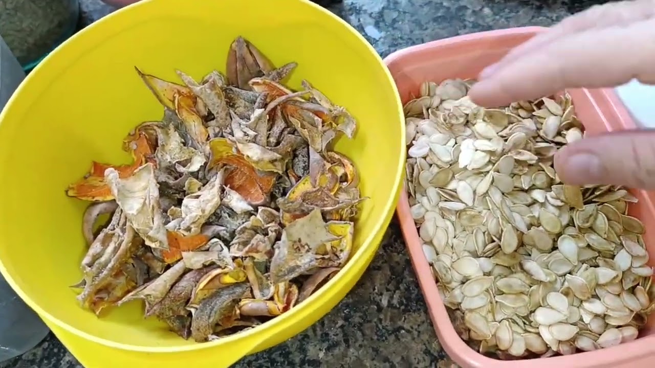 Thumbnail do vídeo