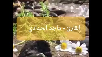 فجرية القارئ /ماجد الحدادي