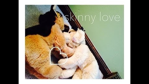 cσмє ση, ѕкιηηу ʟσνє. ~♥