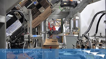 Carton Case Packer | AF-RBX - AFA Systems