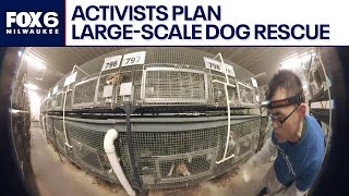 Wisconsin breeder under pressure as activists plan large-scale dog rescue | FOX6 News Milwaukee