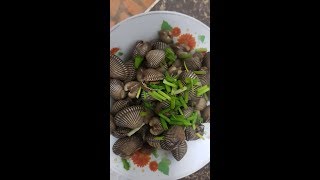 Yummy Blood Cockle Cooking Recipe - Blood Cockle Stir Fried Delicious