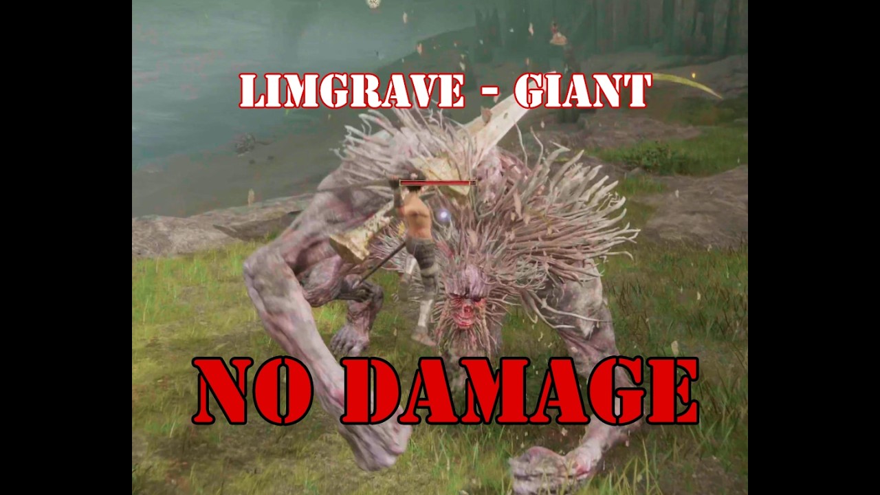 This giant in Limgrave gives an intense fight - No Hit