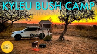 Weekend solo camping in the African bush | Kyleu Bush Camp | Dinokeng Game Reserve | South Africa