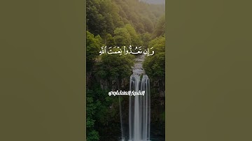 🌿 تلاوة خاشعة تُذكّرك بنِعَم الله | الشيخ محمد صديق المنشاوي ✨