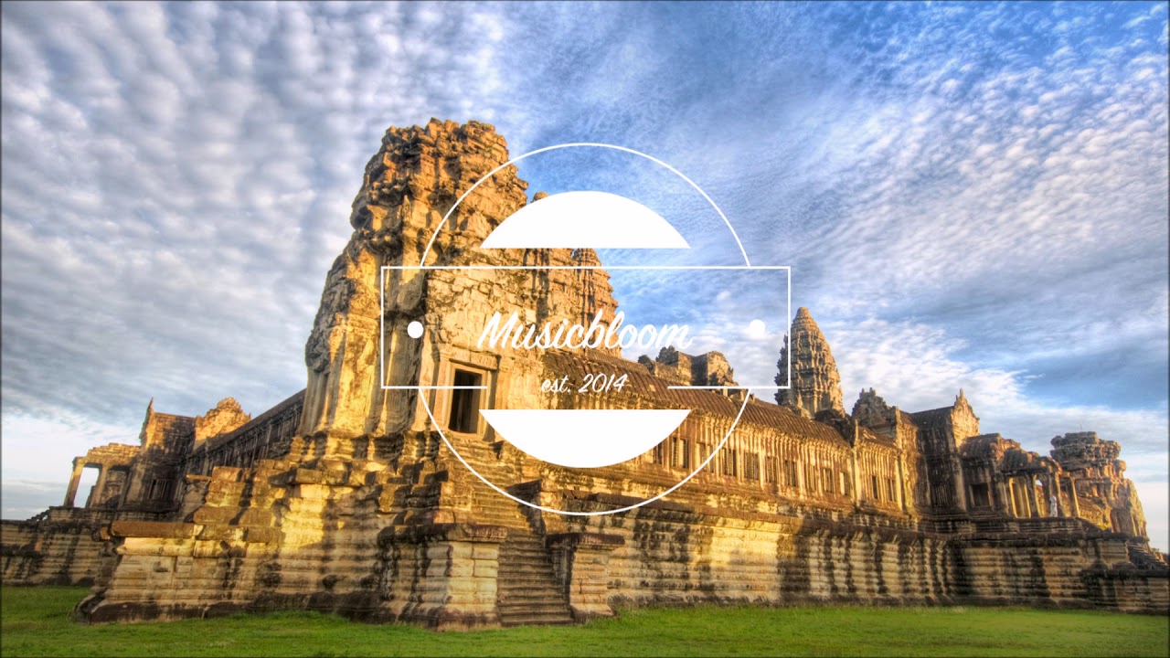 PAWSA - The Groovy Cat