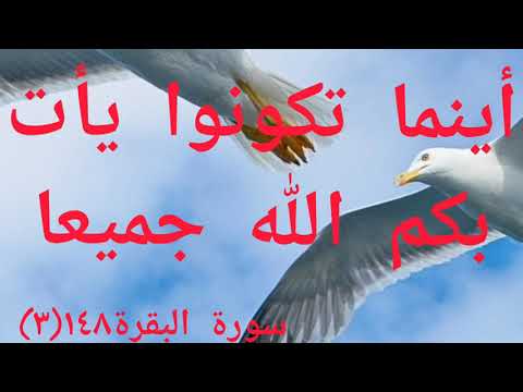 أينما تكونوا يأت بكم الله جميعا سورة البقرة 