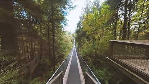 Capilano Bridge Crossing - Insta360 OneX2 Steady Cam Mode