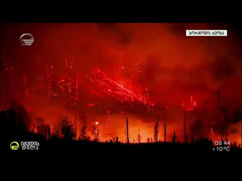 ბორჯომის ხეობის ტყის აღდგენა