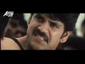 SIVAMANI - Hindi Dubbed Full Movie | Nagarjuna, Rashitha | Action Romantic Movie
