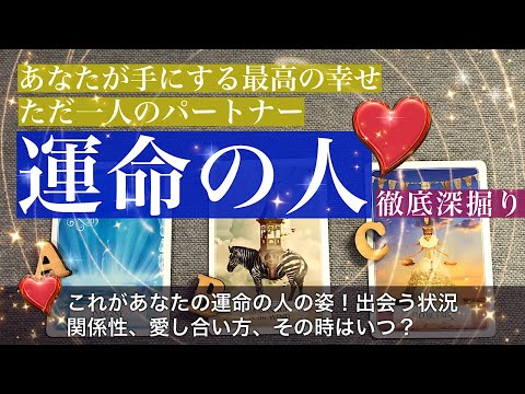 運命の人【イチャイチャしてる人がいるっ！】お相手の特徴、出会い、どんなお付き合いなどなど、その時期はいつ？【タロット 占い 恋愛】