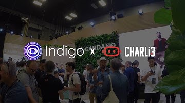 Indigo Interview! Consensus 2022