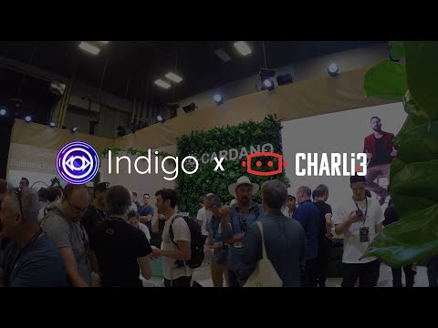 Indigo Interview! Consensus 2022