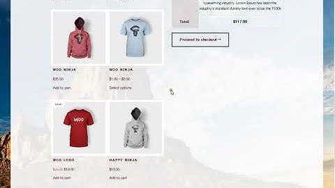 Split Overview on Checkout Page - Order Splitter for WooCommerce
