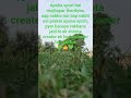 Aapko sabhi ko thank you 👍(sport)#love❤️ #shortvideos #viral